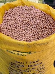 حمص مقاس 7 الجميل